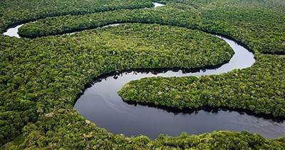 亞馬遜河到底有多可怕？為什麼人們不敢在亞馬遜河中游泳？
