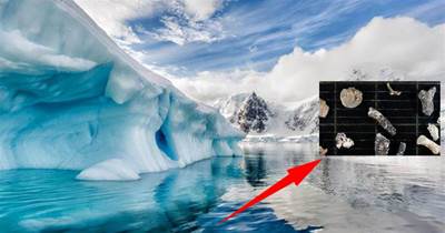 南極冰層下又發現不明生物？我們的認知或被刷新：人類可能不孤單