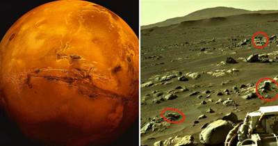 發現了什麼？UFO專家稱找到了「火星人」，NASA正在掩蓋真相