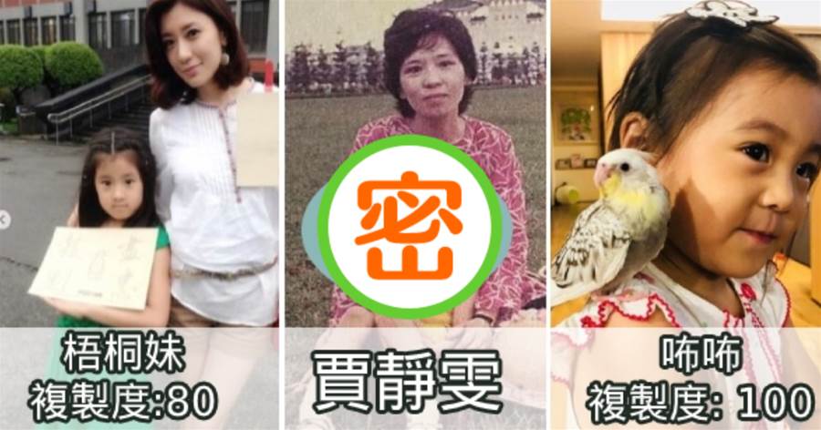賈靜雯母親Po文童年照， 網友驚嘆「100%完美複製」：真的不是咘咘？