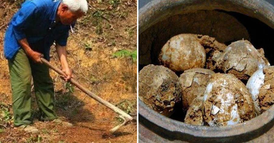 1998年，濟南老農意外挖出純金塊，專家聞訊趕來后，驚呼：這是一盒西漢雞蛋